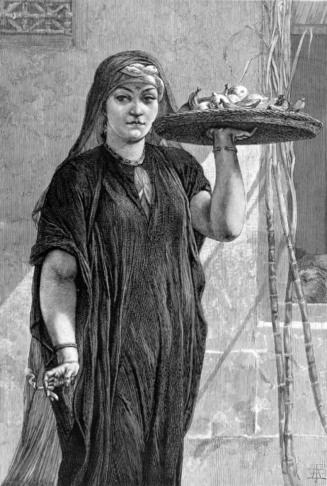 Framed Print : A Fruit-Woman of Cairo Framed Print : A Fruit-Woman of Cairo