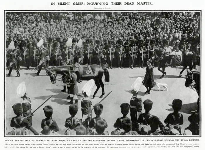 Framed Print : Funeral procession of King Edward VII 1910 Framed Print : Funeral procession of King Edward VII 1910