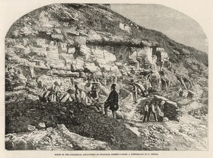 Framed Print : Geologists at Swanage Framed Print : Geologists at Swanage