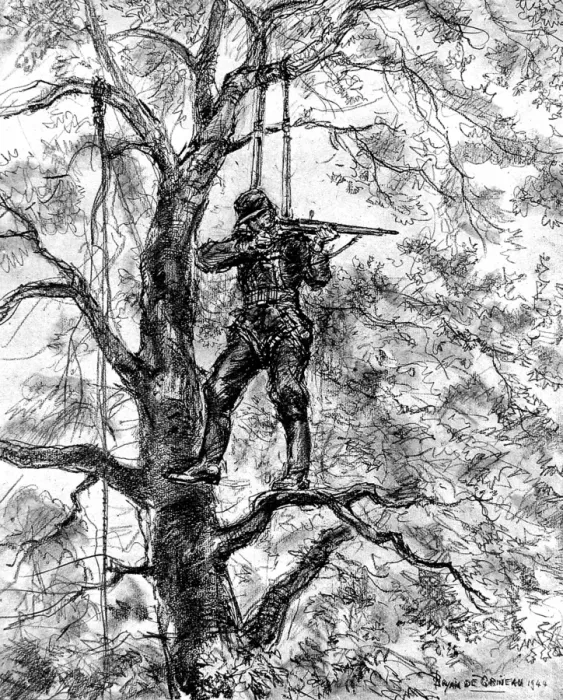 Framed Print : German Sniper in a tree, Normandy, 1944 Framed Print : German Sniper in a tree, Normandy, 1944