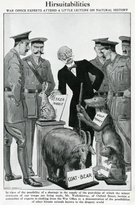 Framed Print : Goatskin shortages in 1915: humourous alternatives suggested Framed Print : Goatskin shortages in 1915: humourous alternatives suggested