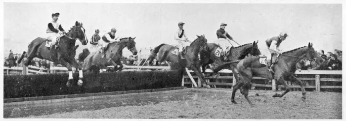 Framed Print : Gold Cup Day at Cheltenham, 1945 Framed Print : Gold Cup Day at Cheltenham, 1945