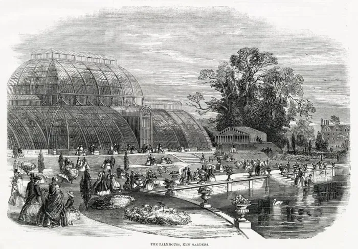 Framed Print : The Great Palm House, Kew Gardens 1859 Framed Print : The Great Palm House, Kew Gardens 1859