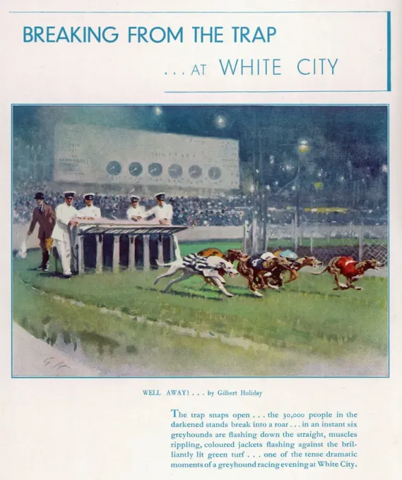 Framed Print : Greyhound Racing at White City Framed Print : Greyhound Racing at White City