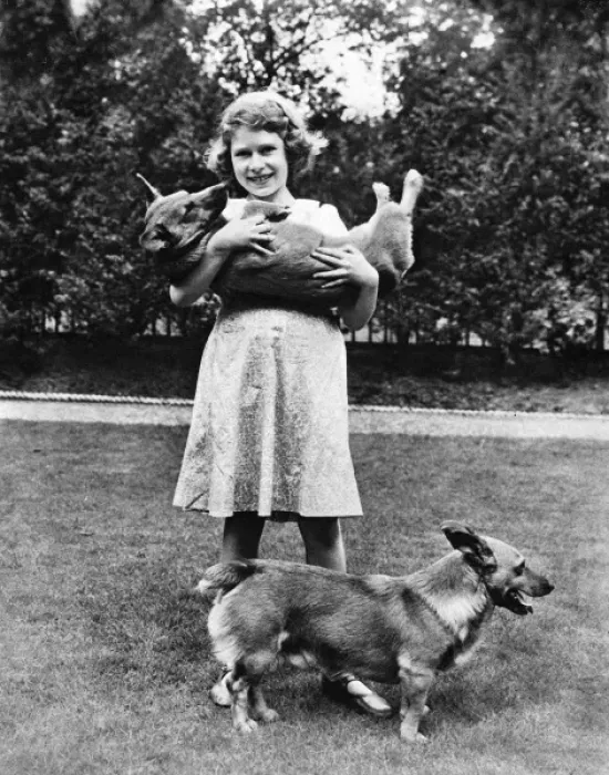 Framed Print : H. R. H the Princess Elizabeth with her corgis Framed Print : H. R. H the Princess Elizabeth with her corgis