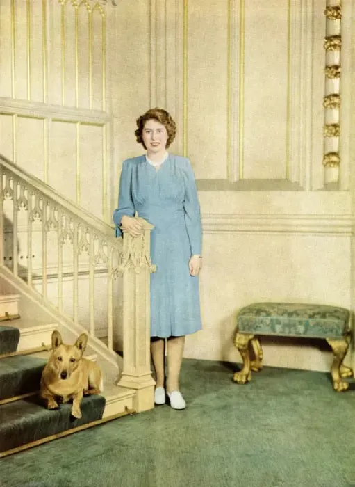Framed Print : H. R. H. Princess Elizabeth, with her pet Welsh Corgi dog Framed Print : H. R. H. Princess Elizabeth, with her pet Welsh Corgi dog