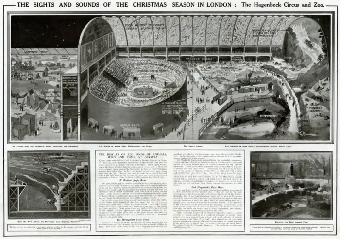 Framed Print : Hagenbeck Circus and Zoo in London Framed Print : Hagenbeck Circus and Zoo in London