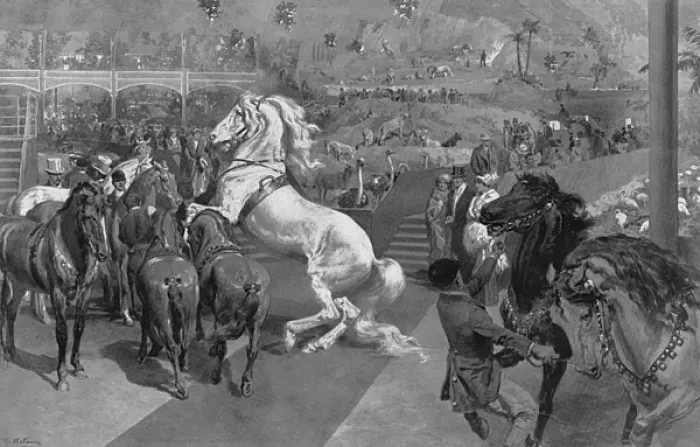 Framed Print : Hagenbecks Great Zoological Show at Olympia, London Framed Print : Hagenbecks Great Zoological Show at Olympia, London