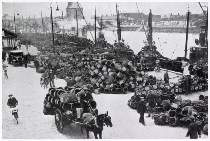 Framed Print : Herring Harvest in Great Yarmouth 1934
