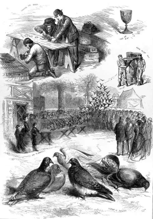 Framed Print : Homing Pigeon Contest at the Alexandra Palace, 1875 Framed Print : Homing Pigeon Contest at the Alexandra Palace, 1875