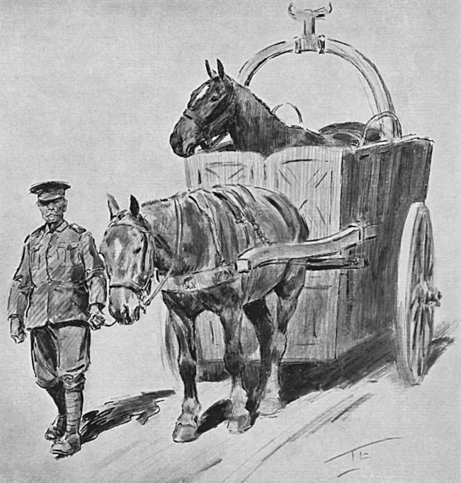 Framed Print : Horse ambulance, First World War Framed Print : Horse ambulance, First World War