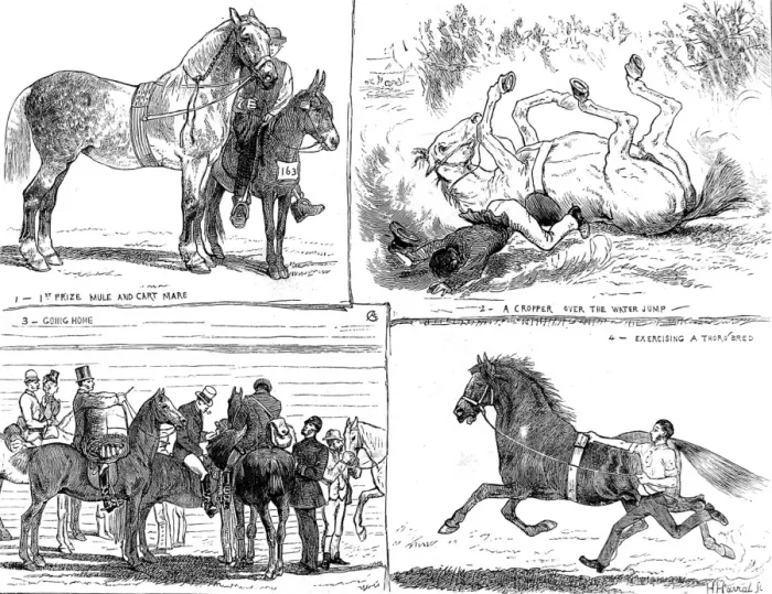 Framed Print : The Horse Show, Alexandra Park, London, 1873 Framed Print : The Horse Show, Alexandra Park, London, 1873