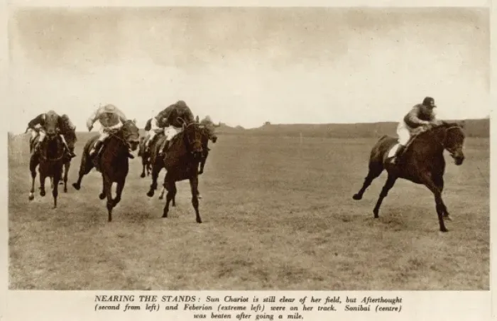 Framed Print : Horses at Newmarket Framed Print : Horses at Newmarket