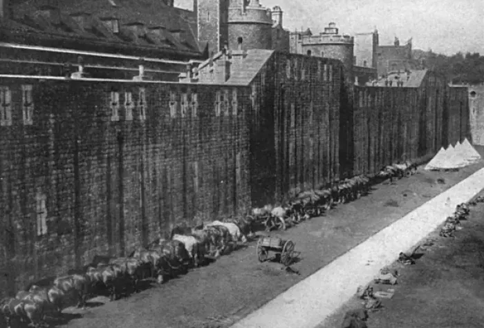 Framed Print : Horses at Tower of London 1914