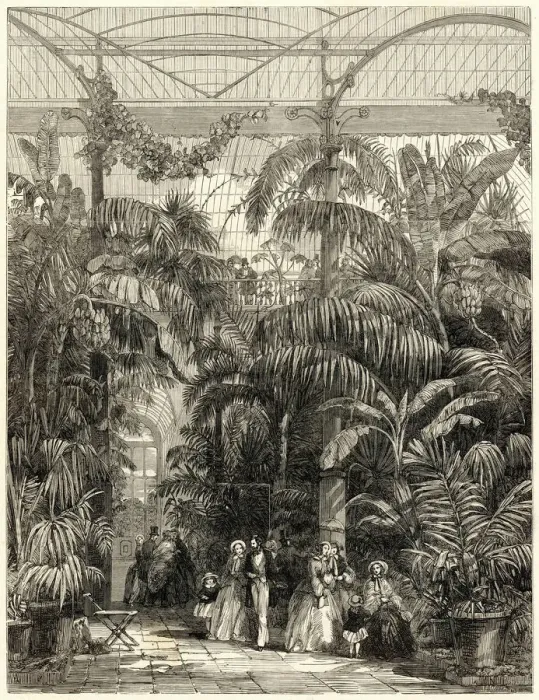 Framed Print : Interior of the Great Palm House, Kew Gardens, 1852 Framed Print : Interior of the Great Palm House, Kew Gardens, 1852