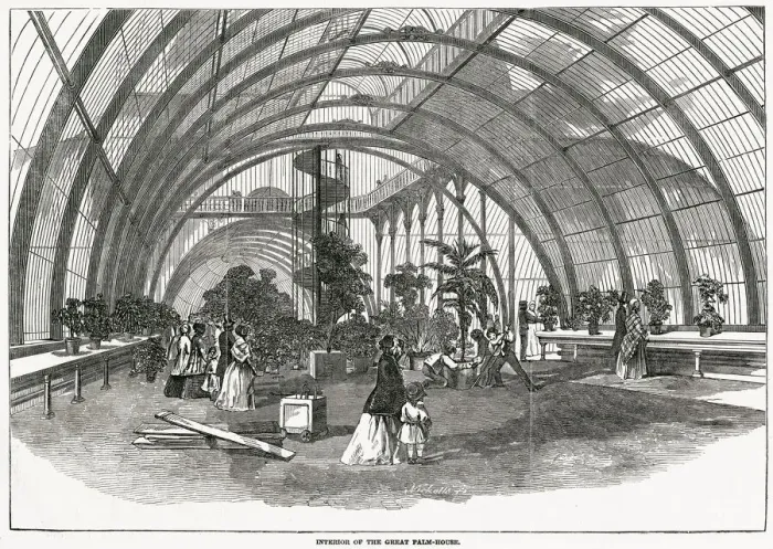 Framed Print : Interior of the Great Palm-House at Royal Gardens. Date: 1848 Framed Print : Interior of the Great Palm-House at Royal Gardens. Date: 1848