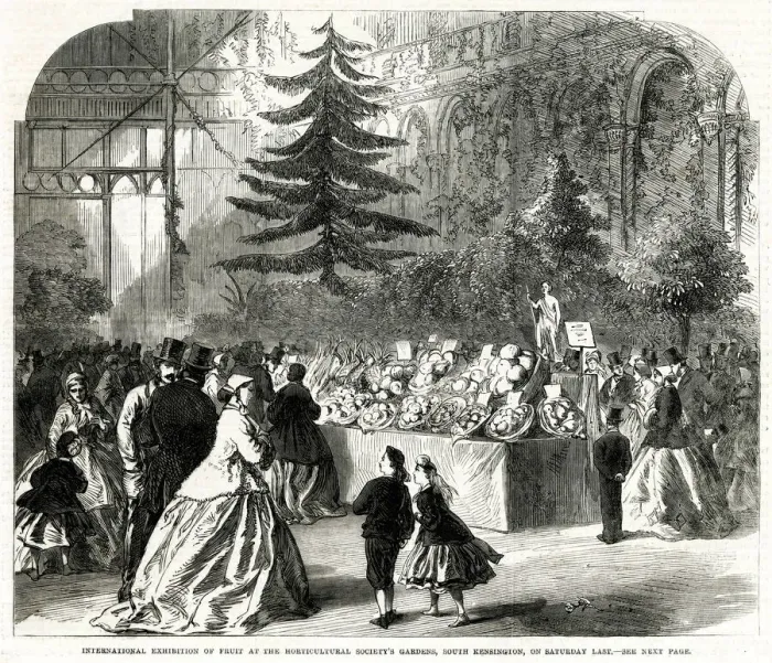 Framed Print : International Exhibition, Horticultural Society Gardens 1865