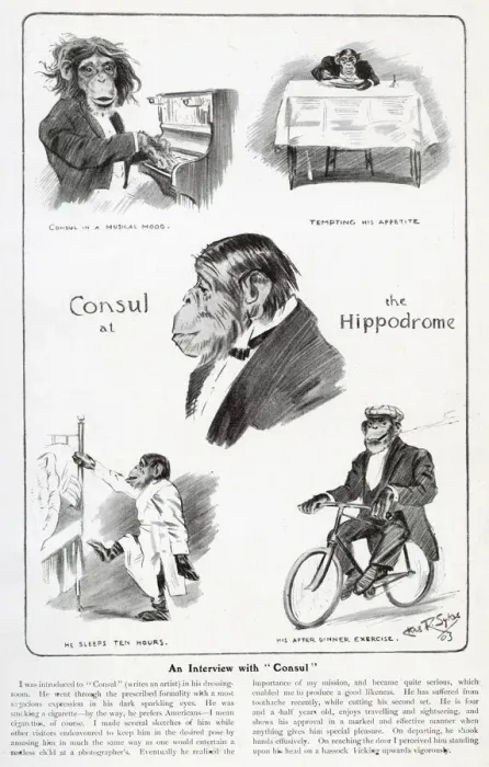 Framed Print : An Interview with Consul the Chimpanzee Framed Print : An Interview with Consul the Chimpanzee