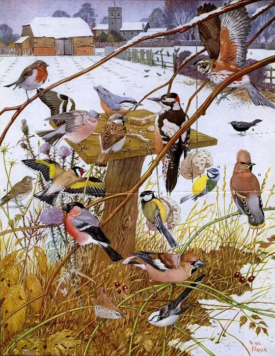 Framed Print : Invited guests at the bird-table by Neave Parker Framed Print : Invited guests at the bird-table by Neave Parker
