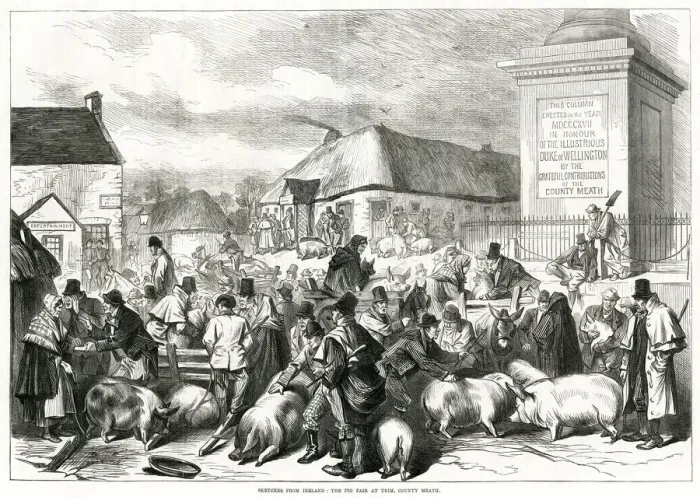 Framed Print : Ireland pig fair at Trim, County Meath 1870 Framed Print : Ireland pig fair at Trim, County Meath 1870