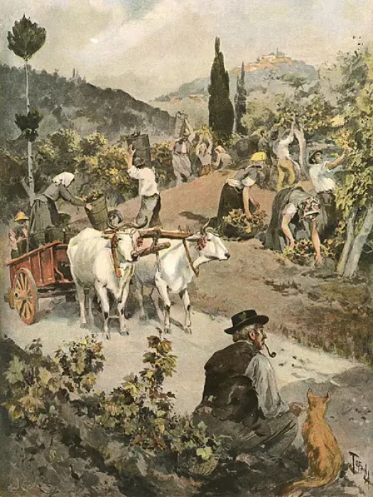Framed Print : Italian Vintage