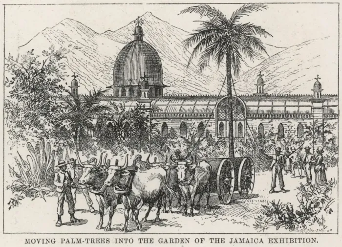 Framed Print : The Jamaica Exhibition Framed Print : The Jamaica Exhibition