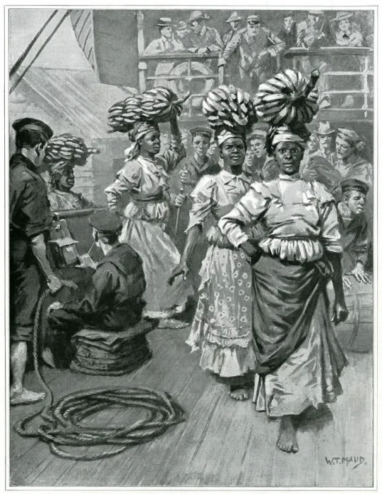 Framed Print : Jamaican export of bananas 1901