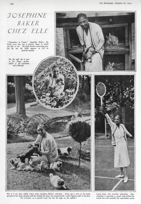 Framed Print : Josephine Baker with pet bunny rabbits and many small dogs Framed Print : Josephine Baker with pet bunny rabbits and many small dogs