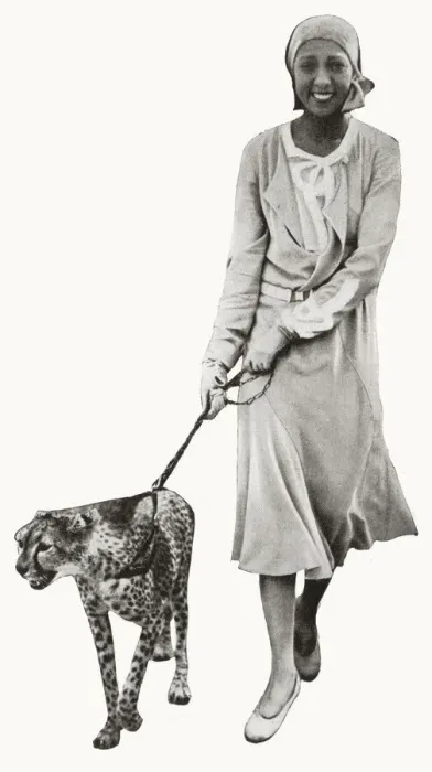 Framed Print : Josephine Baker with her pet cheetah Framed Print : Josephine Baker with her pet cheetah