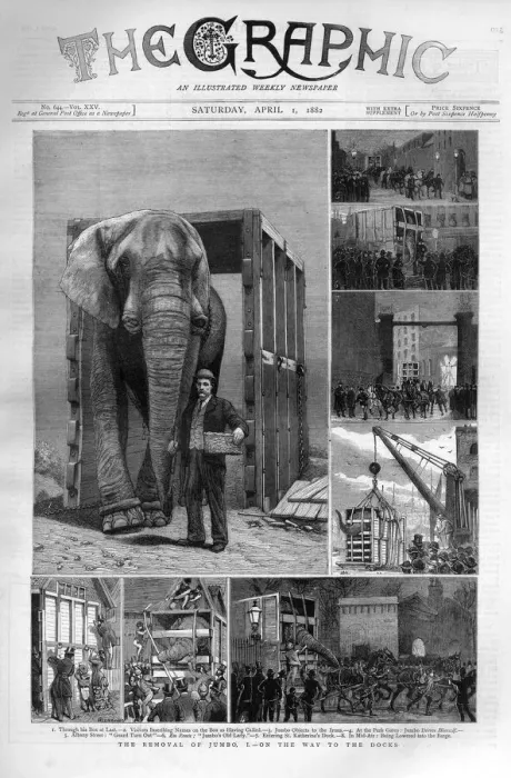 Framed Print : Jumbo the elephant: on the way to the docks Framed Print : Jumbo the elephant: on the way to the docks