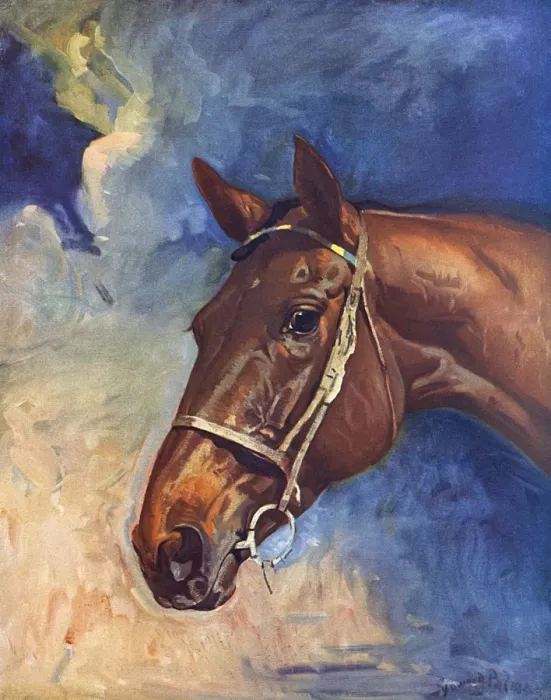 Framed Print : Kellsboro Jack - winner of the Grand National, 1933 Framed Print : Kellsboro Jack - winner of the Grand National, 1933