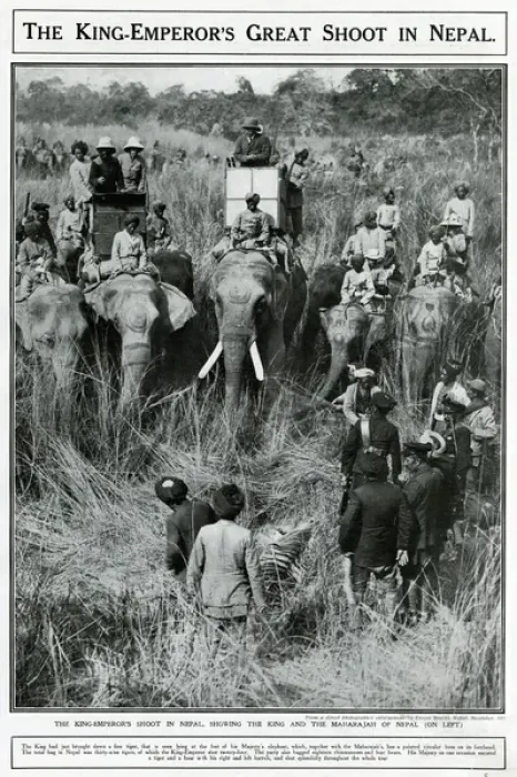Framed Print : King Emperors great shoot in Nepal 1911