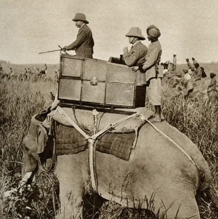 Framed Print : King George V hunting tigers in Nepal