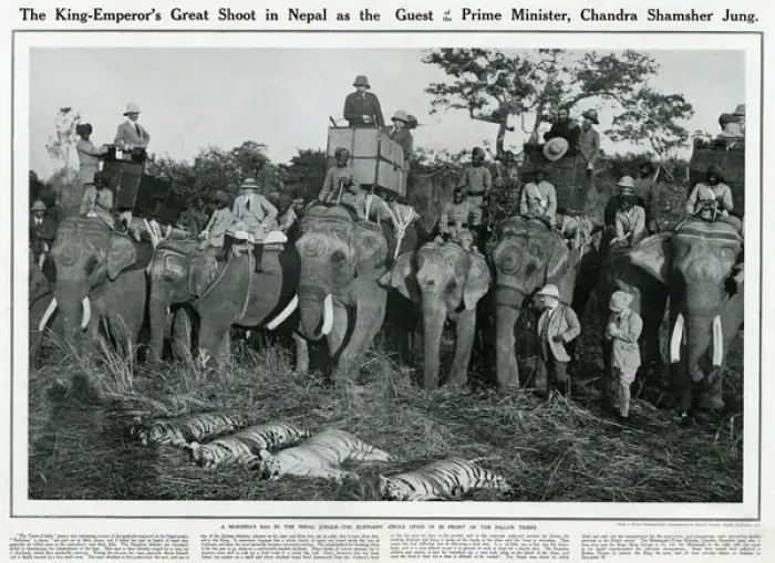 Framed Print : King George V shooting expedition 1911