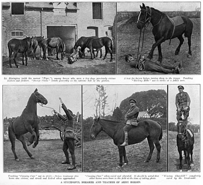 Framed Print : Lieutenant Rimington - breaker & teacher of Army horses, WW1 Framed Print : Lieutenant Rimington - breaker & teacher of Army horses, WW1