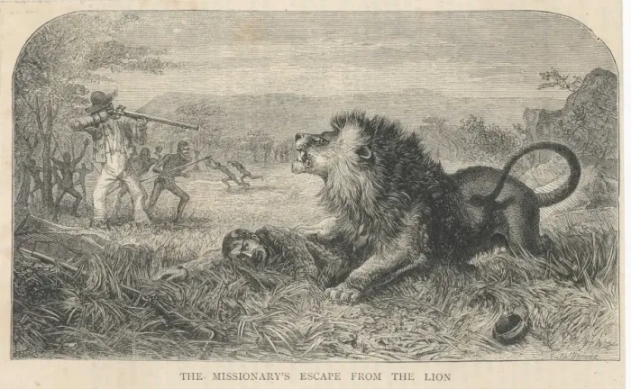 Framed Print : Livingstone & Lion Framed Print : Livingstone & Lion