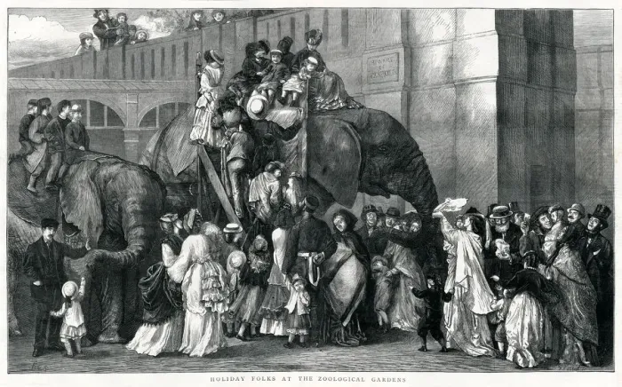 Framed Print : London Zoo Framed Print : London Zoo