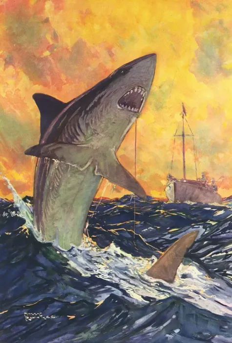 Framed Print : A Mako Shark Hooked Framed Print : A Mako Shark Hooked