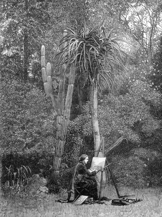 Framed Print : Marianne North Framed Print : Marianne North