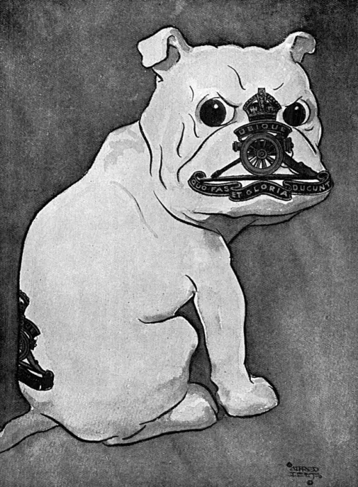 Framed Print : Masbadges - 10. The Royal Dog (The Royal Artillery)