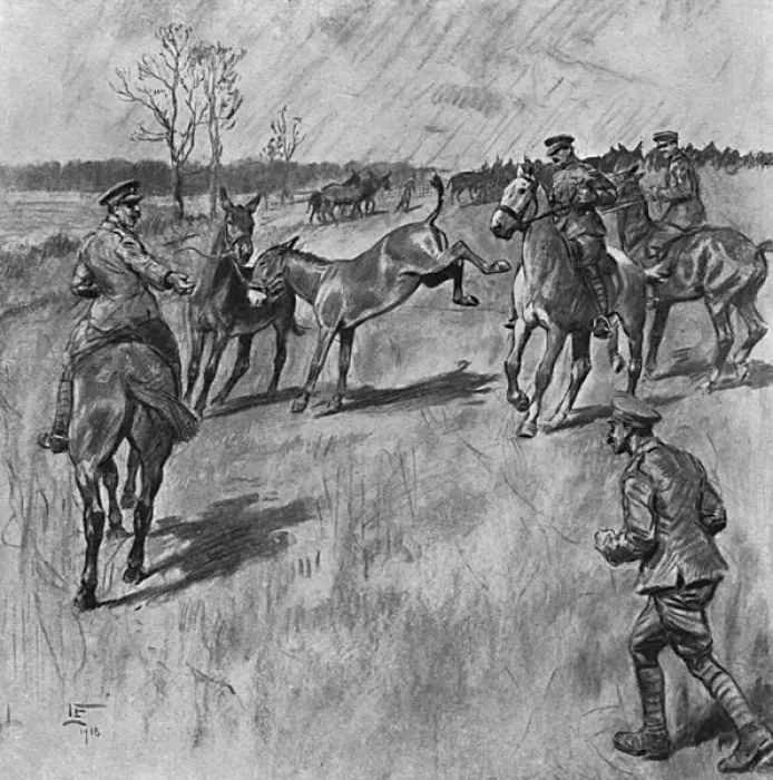 Framed Print : Monday morning exercise, Army Remount Depot, WW1 Framed Print : Monday morning exercise, Army Remount Depot, WW1