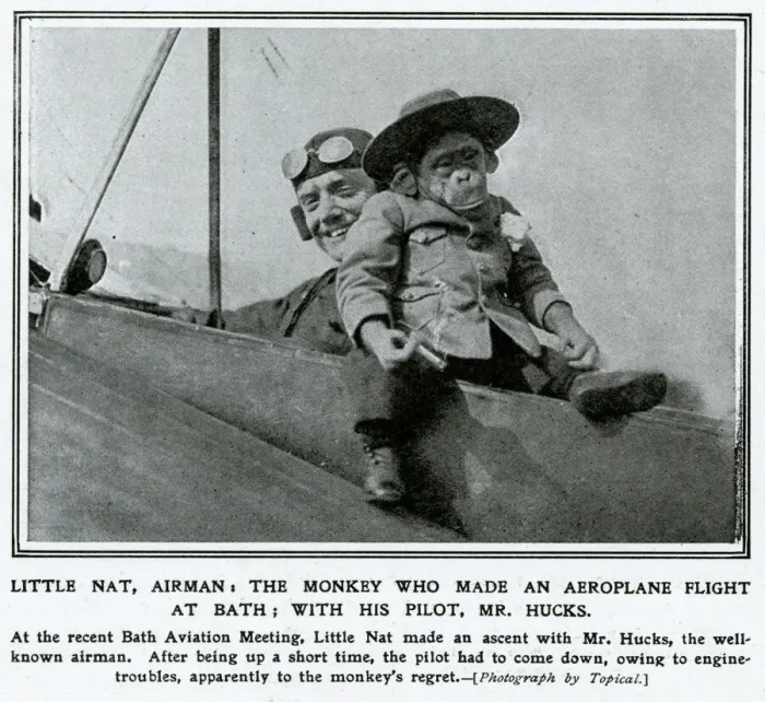 Framed Print : Monkey making flight at Bath Aviation Meeting 1912 Framed Print : Monkey making flight at Bath Aviation Meeting 1912