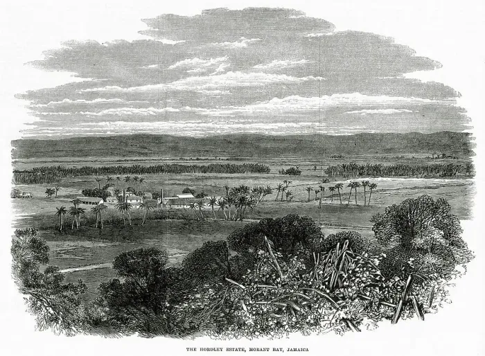 Framed Print : MORANT BAY The Hordley Estate. Date: 1865 Framed Print : MORANT BAY The Hordley Estate. Date: 1865