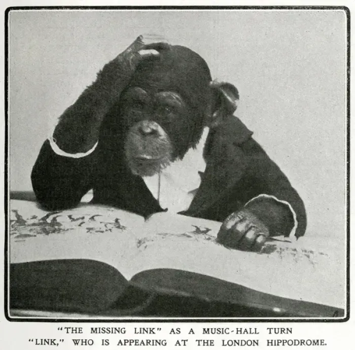 Framed Print : Mr Link, monkey appearing at the Hippodrome 1906 Framed Print : Mr Link, monkey appearing at the Hippodrome 1906