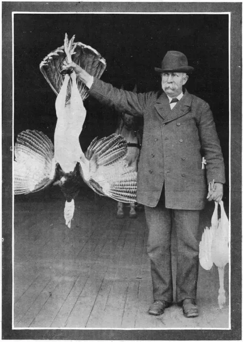 Framed Print : Mr. Roosevelts Turkey Framed Print : Mr. Roosevelts Turkey