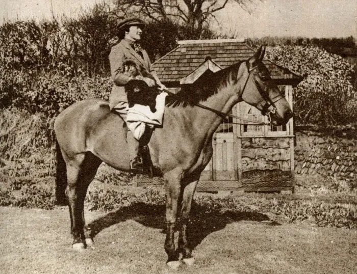 Framed Print : Mrs A. J. Munnings riding a horse in Somerset Framed Print : Mrs A. J. Munnings riding a horse in Somerset