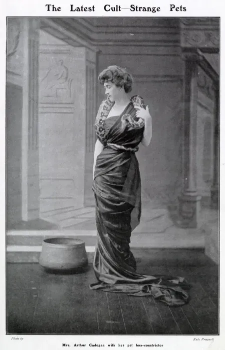 Framed Print : Mrs Arthur Cadogan with her pet boa-constrictor