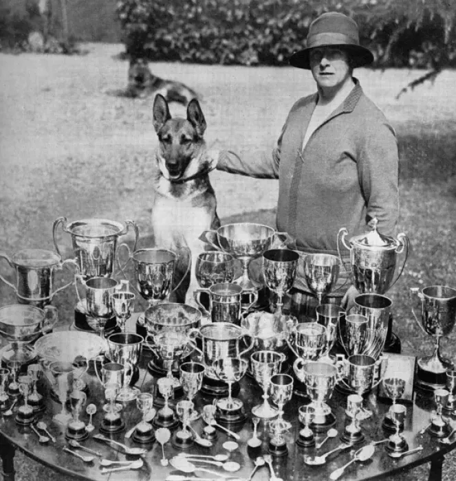 Framed Print : Mrs Thornton - breeder of champion Alsatians