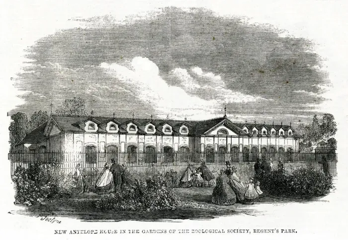 Framed Print : New antelope house - Gardens of Zoological Society 1861