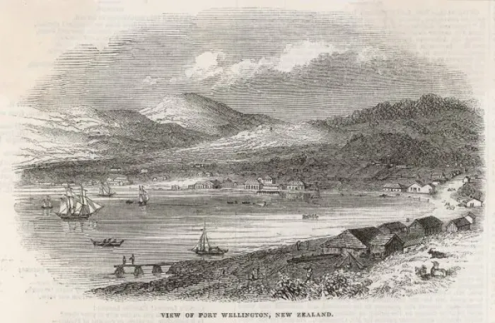 Framed Print : New Zealand  /  Wellington